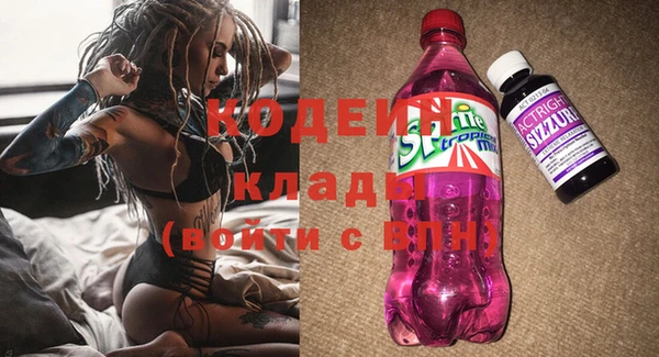 сатива Беломорск