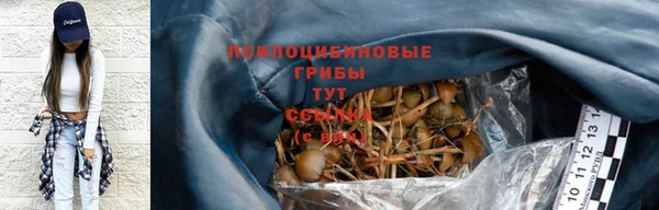 винт Белокуриха