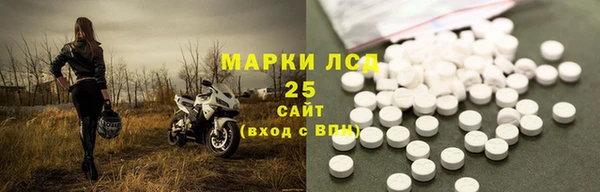 сатива Беломорск