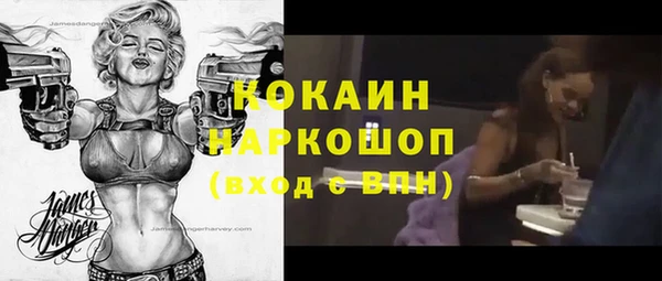 сатива Беломорск