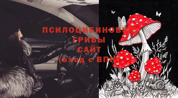 винт Белокуриха