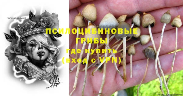 винт Белокуриха