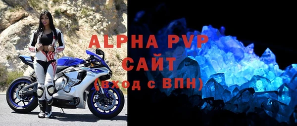 сатива Беломорск