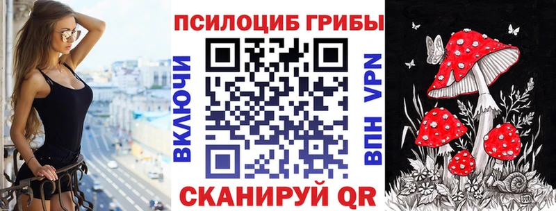 Галлюциногенные грибы MAGIC MUSHROOMS  купить  сайты  Кузнецк 